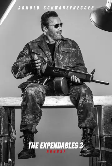 Poster to the movie "The Expendables 3" #619655