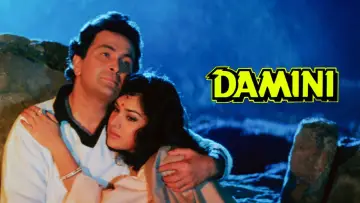 Backdrop to the movie "Damini" #670998