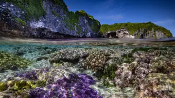 Backdrop to the movie "Protecting Paradise: The Story of Niue" #737823