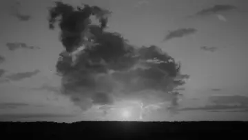 Backdrop to the movie "The Sheep Detectives" #1196789