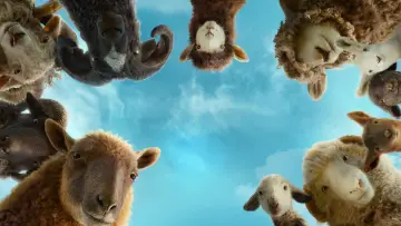 Backdrop to the movie "The Sheep Detectives" #772399