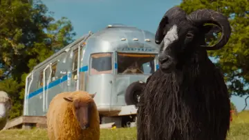 Backdrop to the movie "The Sheep Detectives" #813577