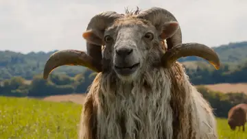 Backdrop to the movie "The Sheep Detectives" #813584