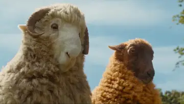 Backdrop to the movie "The Sheep Detectives" #909489