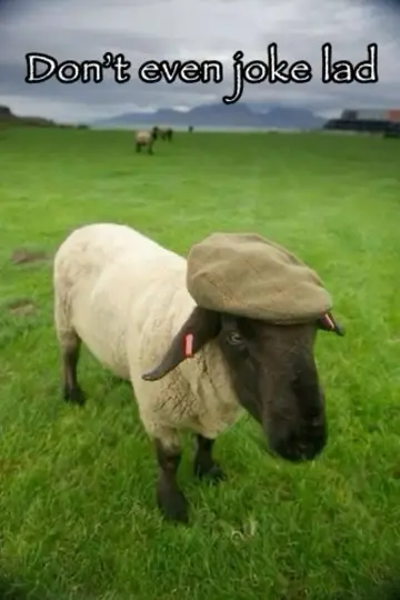 Poster to the movie "The Sheep Detectives" #909493