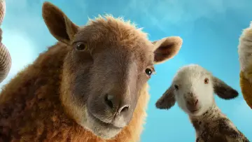 Backdrop to the movie "The Sheep Detectives" #958456