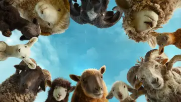Backdrop to the movie "The Sheep Detectives" #958457