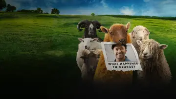 Backdrop to the movie "The Sheep Detectives" #958461