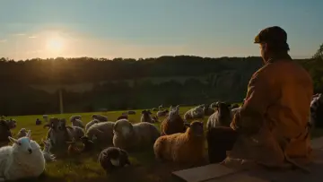 Backdrop to the movie "The Sheep Detectives" #958465