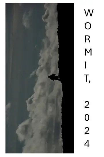 Poster to the movie "WORMIT, 2024" #491694