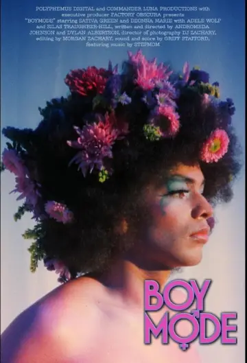 Poster to the movie "Boy Mode" #882558