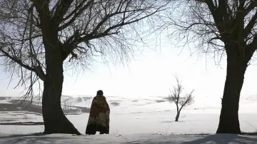 Backdrop to the movie "Habibullah" #491305