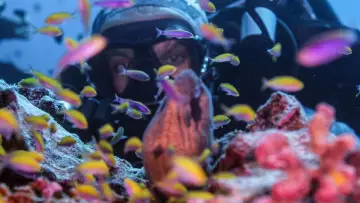 Backdrop to the movie "Super Reefs" #504094