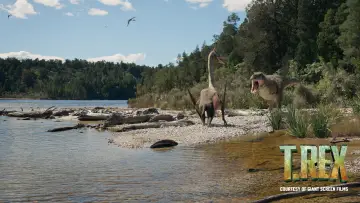 Backdrop to the movie "T.REX" #1117625