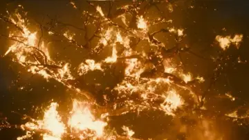Backdrop to the movie "Blades of the Guardians" #925058