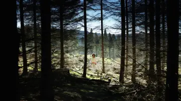 Im Rosengarten poster