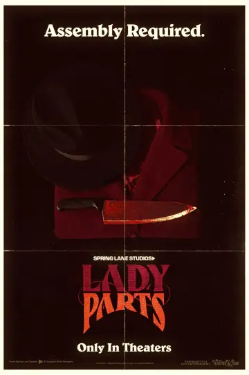 Poster to the movie "Lady Parts" #776469