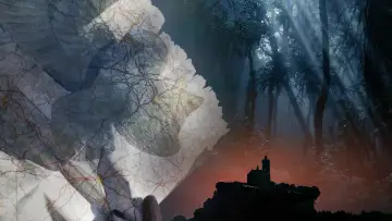Backdrop to the movie "À la poursuite de la chouette d