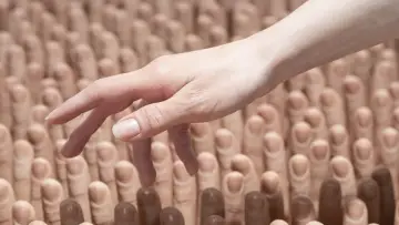 Backdrop to the movie "The Finger Rub Rug" #491342