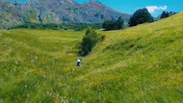 Backdrop to the movie "The Hunger Games: Sunrise on the Reaping" #963772