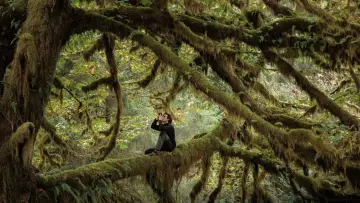 Backdrop to the movie "Whispers in the Woods" #534612