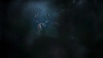 Backdrop to the movie "Whispers in the Woods" #534631