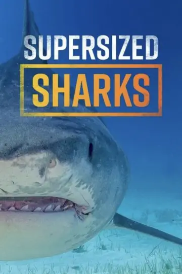 Poster to the movie "Supersized Sharks" #882370