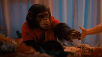 Backdrop to the movie "Primate" #510087