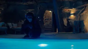 Backdrop to the movie "Primate" #510123