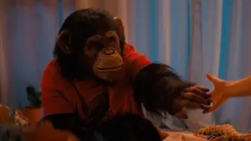 Backdrop to the movie "Primate" #960610