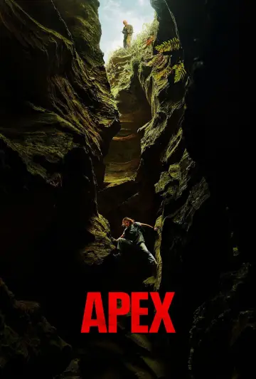 APEX poster