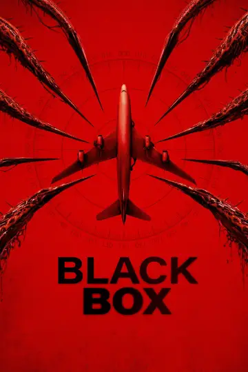 Black Box (Flight 298)