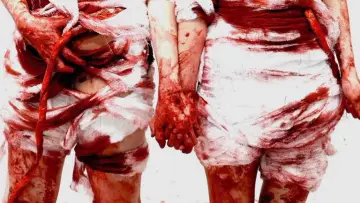 Backdrop to the movie "2 Girls 1 Gut" #882093