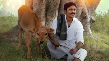 Backdrop to the movie "Idli Kadai" #635730