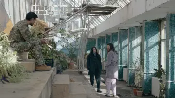 Backdrop to the movie "Don