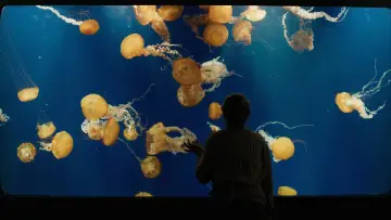 Backdrop to the movie "Remarkably Bright Creatures" #814711