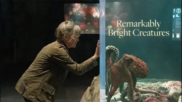 Backdrop to the movie "Remarkably Bright Creatures" #814737