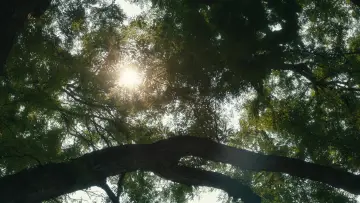 Backdrop to the movie "Oh, Hi!" #967052