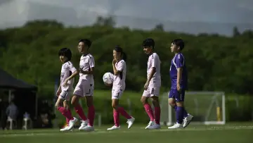 Pass and Goal poster