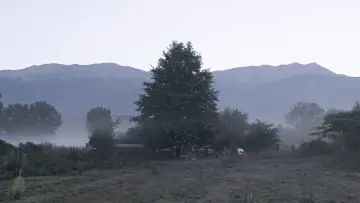 Backdrop to the movie "The Last Nomad" #794042