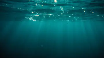 Backdrop to the movie "At Sea" #786894