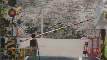 Backdrop to the movie "5 Centimeters per Second" #531725
