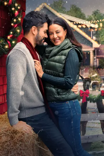 Poster to the movie "Christmas Under the Lights" #978851