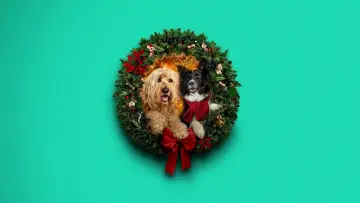 Backdrop to the movie "Happy Howlidays" #931397