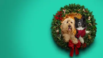 Backdrop to the movie "Happy Howlidays" #931399