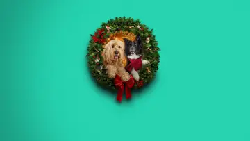 Backdrop to the movie "Happy Howlidays" #931400