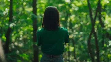Backdrop to the movie "Summer