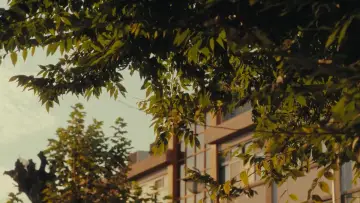 Backdrop to the movie "Summer