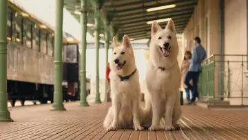 Backdrop to the movie "The Travelling Dog 2" #703498