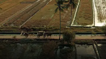 Backdrop to the movie "Gowok: Javanese Kamasutra" #685554